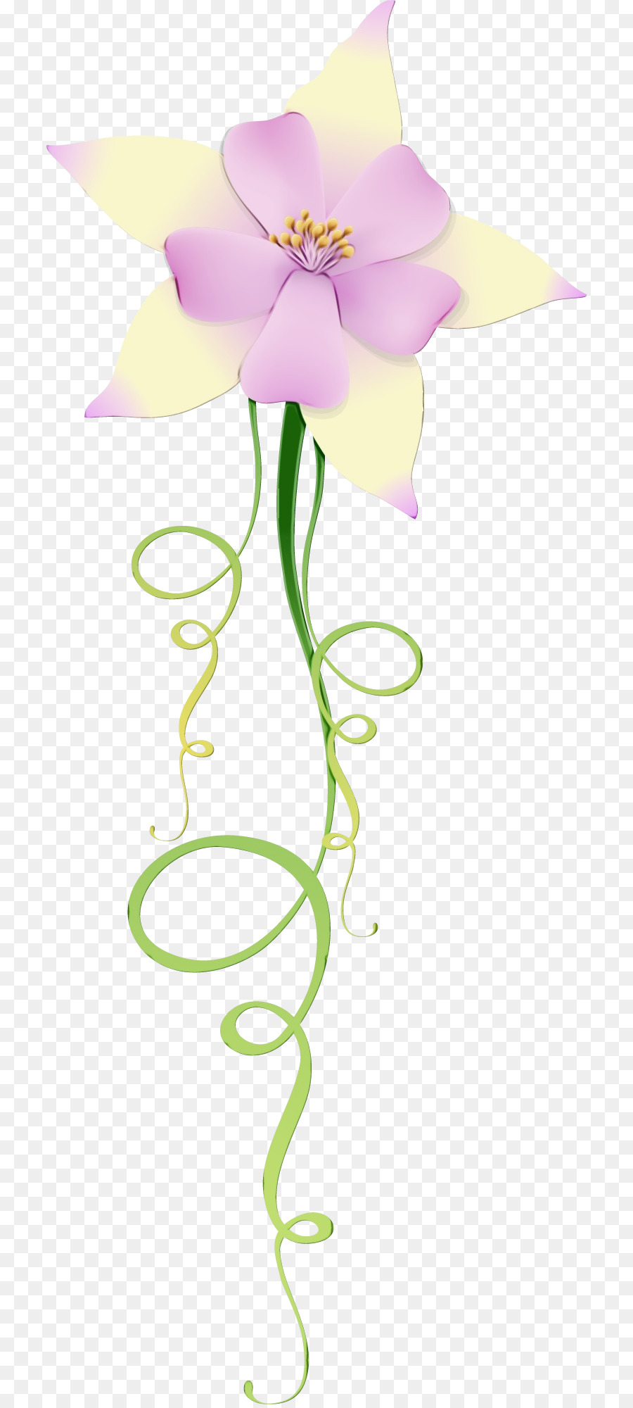 Flor，Flores De Corte PNG