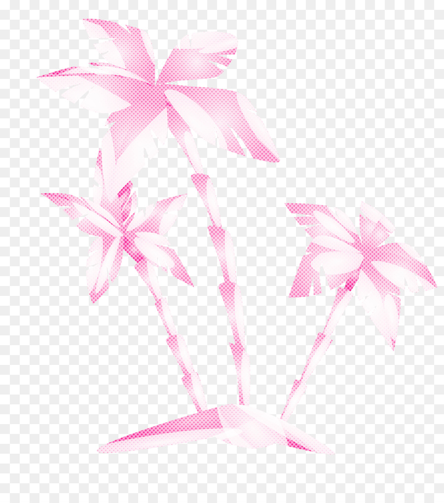 Cor De Rosa，Planta PNG