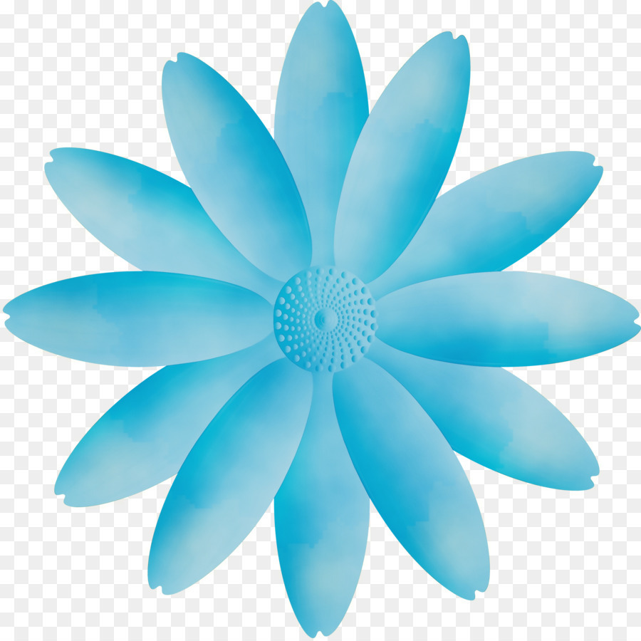 Flor Branca，Florescer PNG