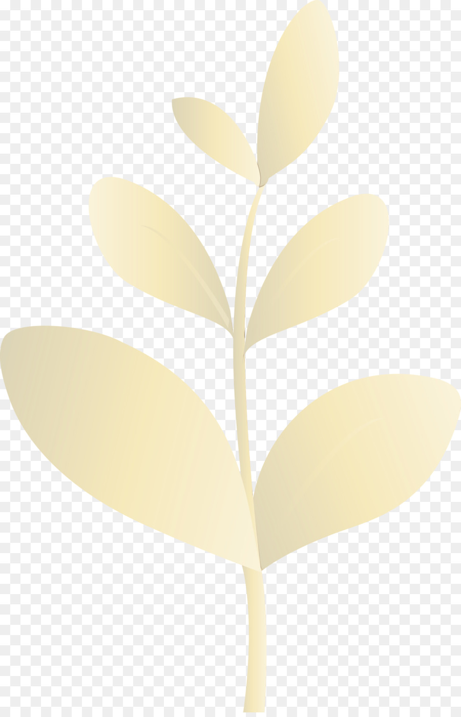 Folha，Plantar PNG