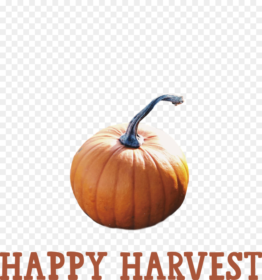 Jackolantern，Squash PNG