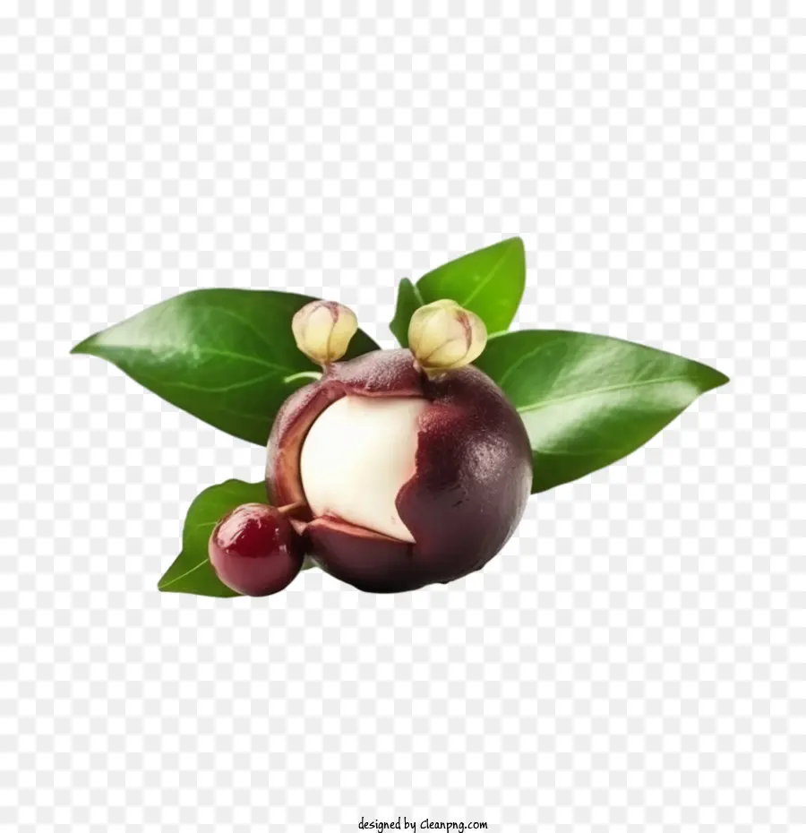 Mangostão，Fruta Mangostão PNG