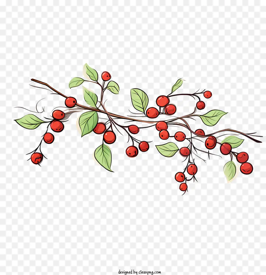 Cranberries Vermelhas，Bagas Vermelhas PNG