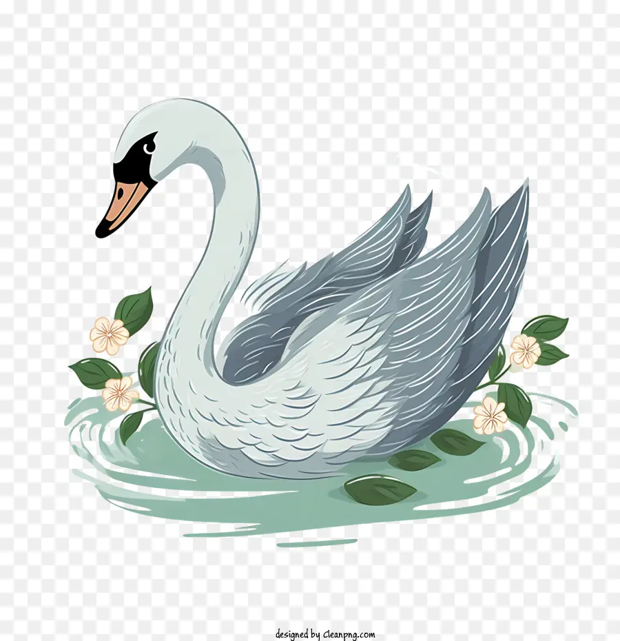 Cisne，água PNG