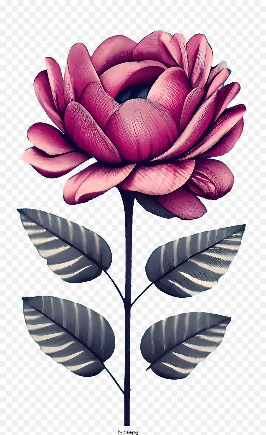 Rosa Vintage，Flor Vermelha PNG