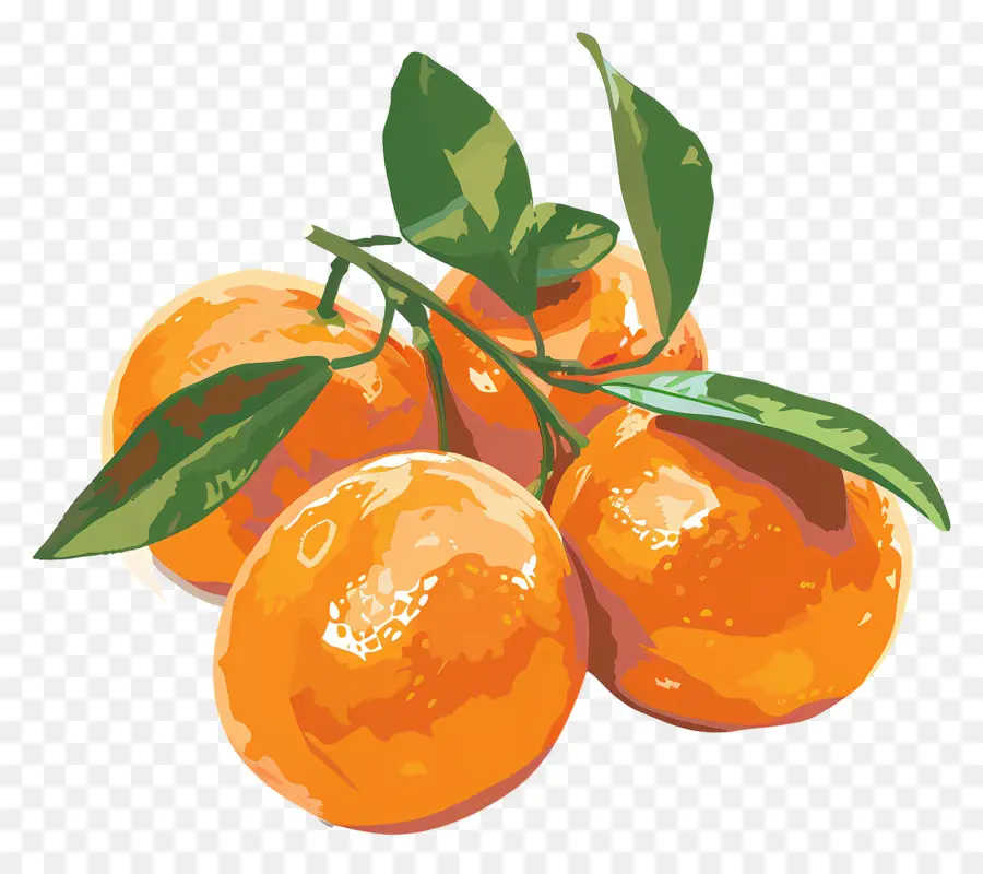 Clementinas，Laranjas PNG