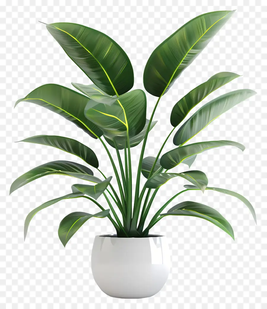 Planta Interna De Escritório，Planta Em Vaso PNG