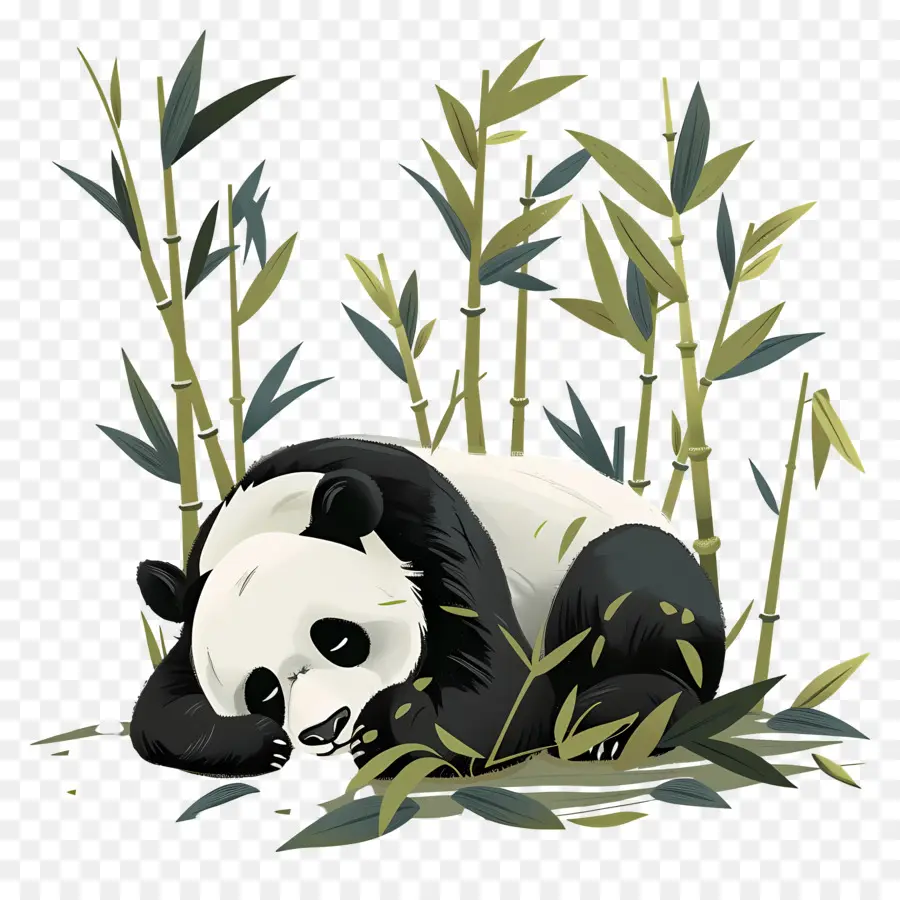 Panda Yang Sedang Tidur，Panda Tidur PNG