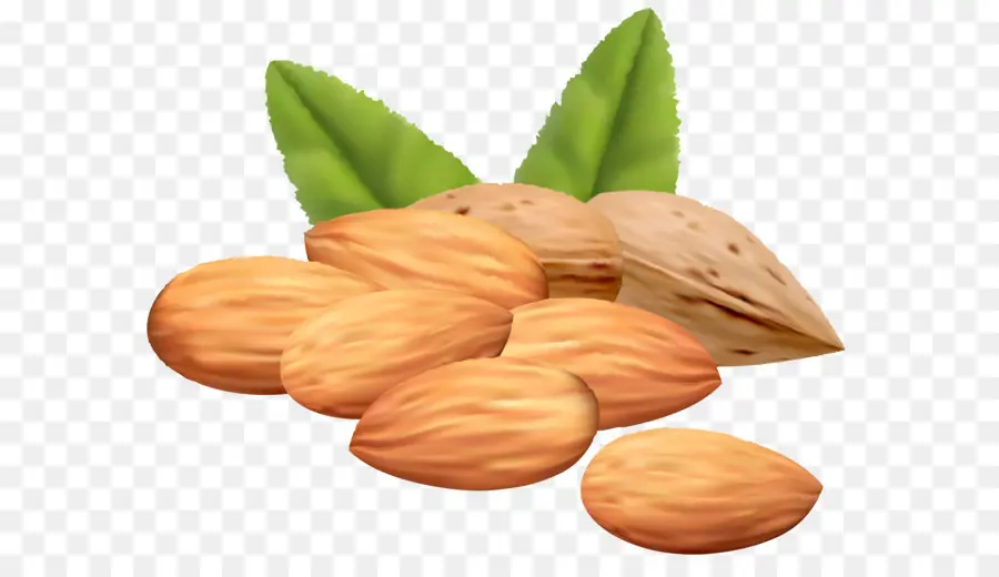 Kacang Almond，Gila PNG