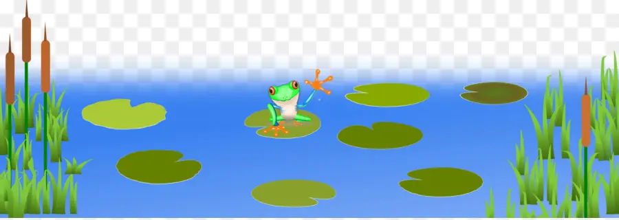 Katak Di Lily Pad，Kolam PNG