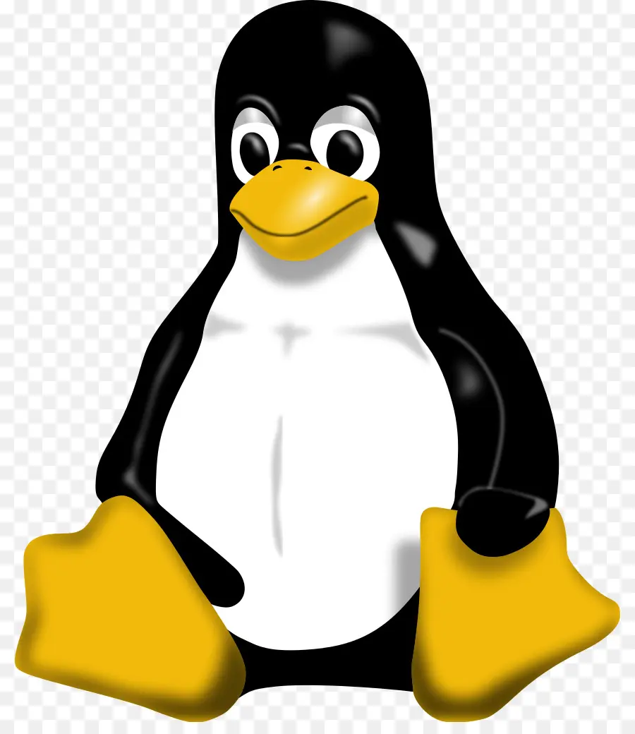 Penguin，Kartun PNG