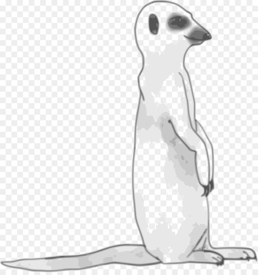 Gambar Meerkat，Sketsa PNG