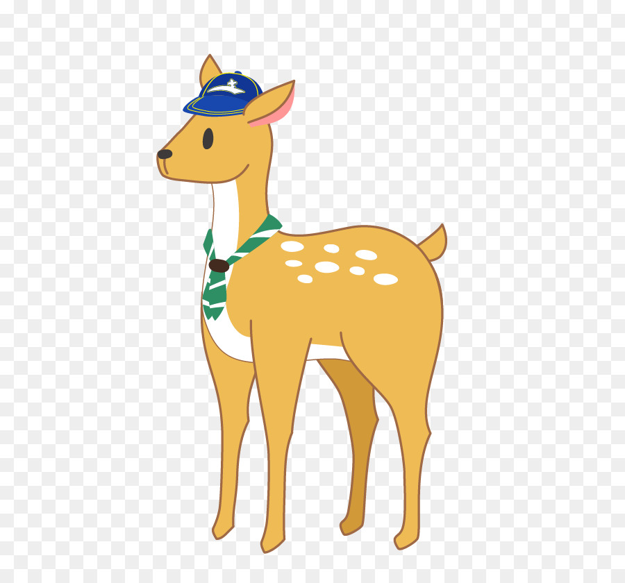 Rusa，Unta PNG