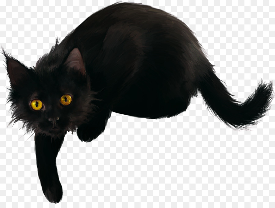 Kucing Hitam，Bulu PNG