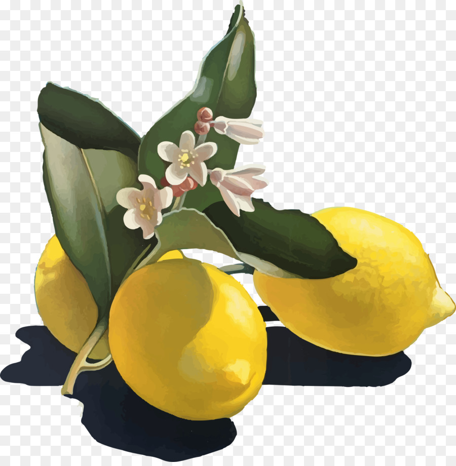 Lemon，Kuning PNG