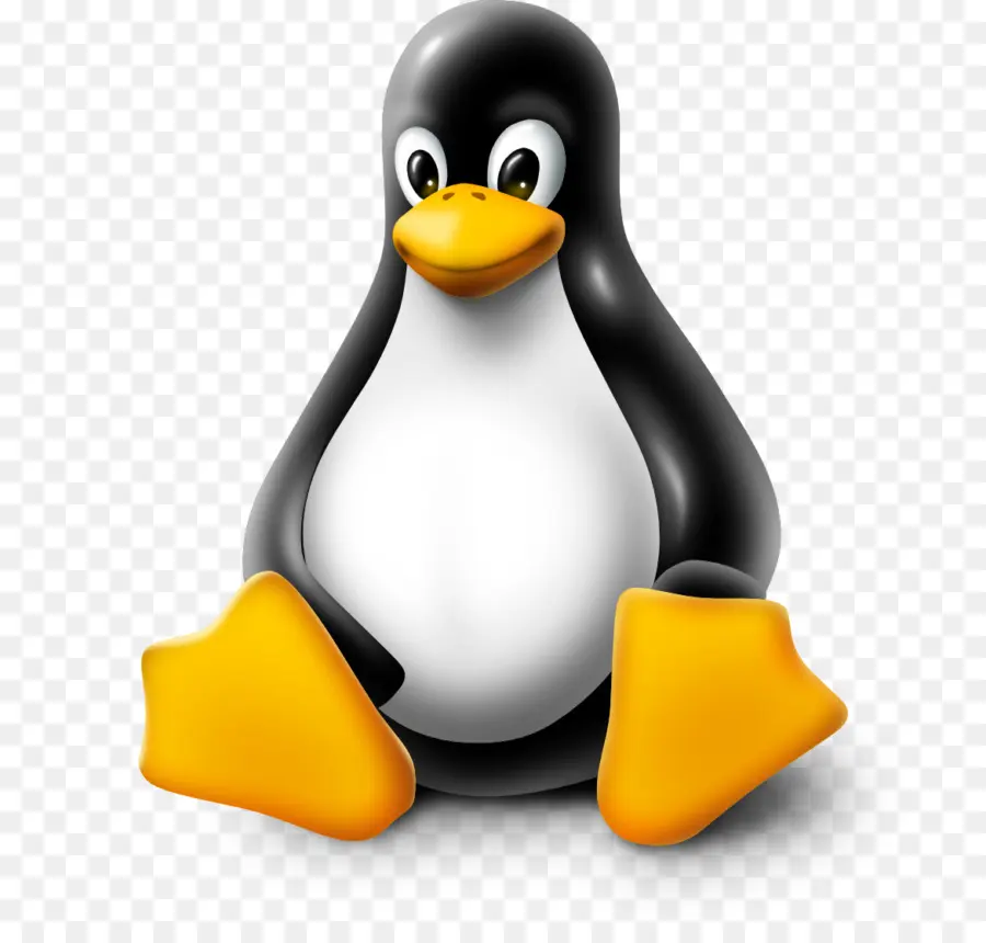 Penguin，Kartun PNG