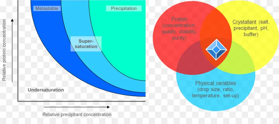 Diagram Pengendapan Protein，Sains PNG