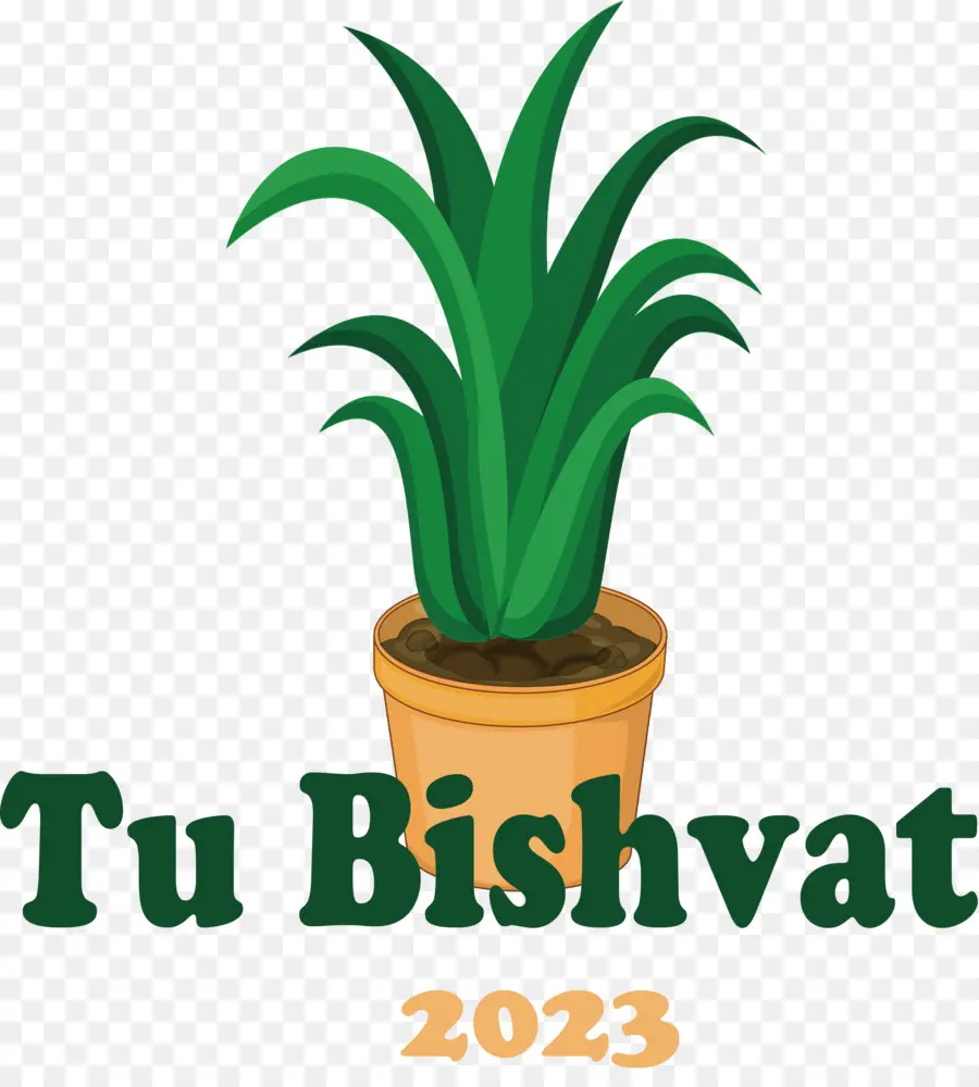 Tu Bishvat，Pohon PNG