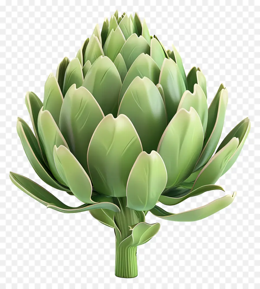 Artichoke，Hijau PNG