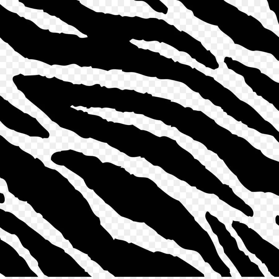 Zebra Deseni，Hayvan Baskısı PNG