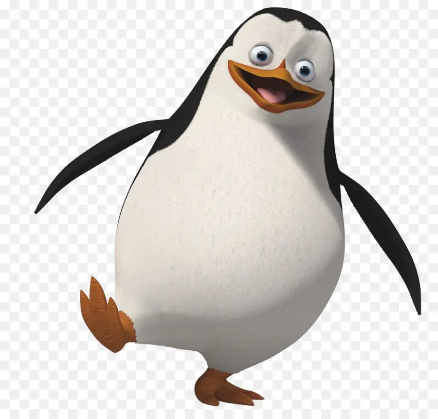 Penguen，Kuş PNG