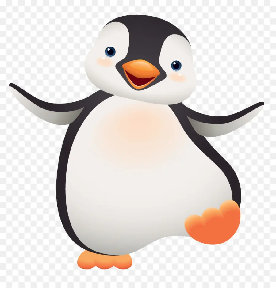 Penguen，Kuş PNG