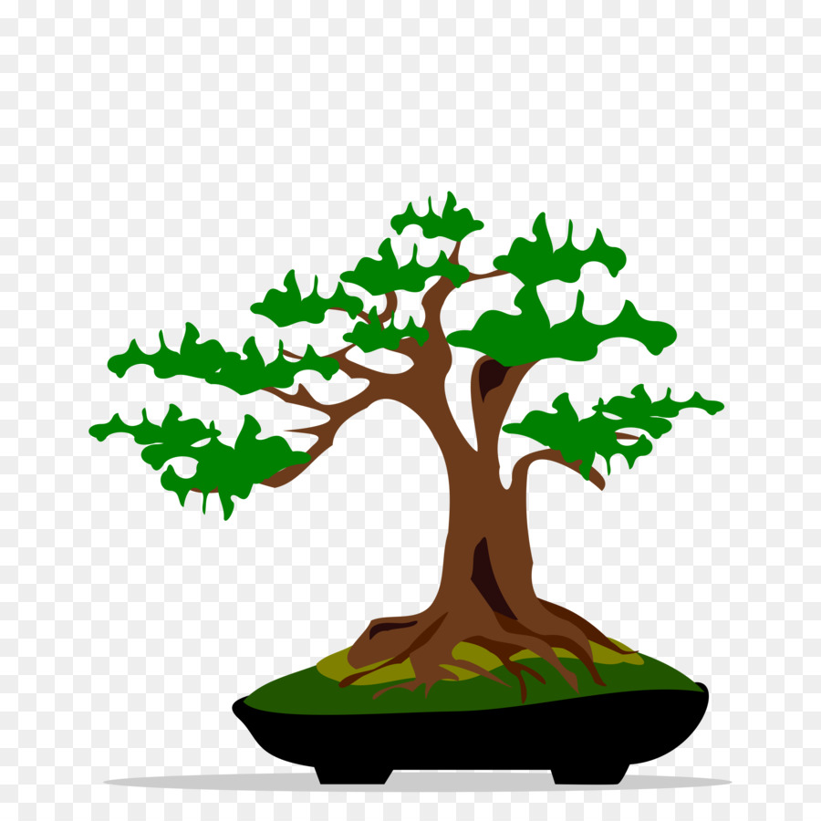 Bonsai Ağacı，Ağaç PNG