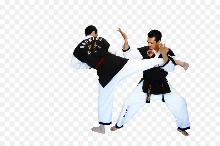 Dövüş Sanatçıları，Karate PNG