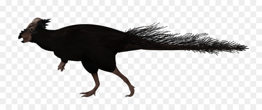 Pakisefalozorus，Psittacosaurus PNG