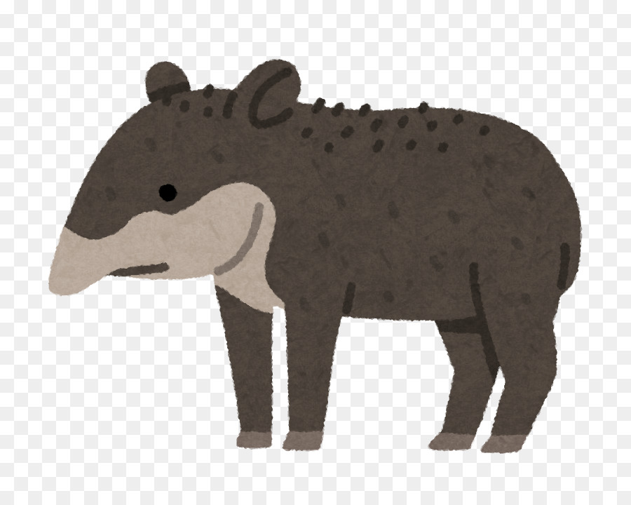 Malaya Tapir，Güney Amerika Tapir PNG