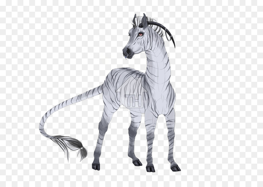 Mustang，Quagga PNG