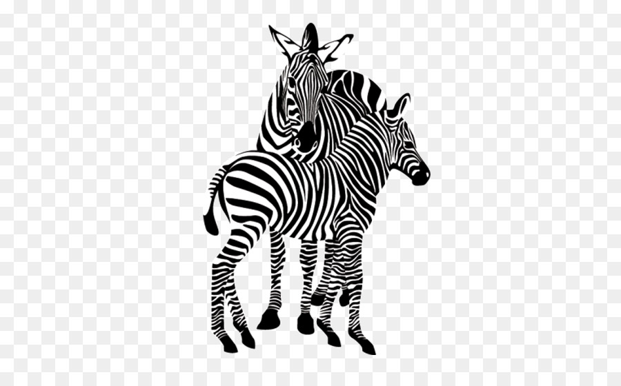 Zebra，Hayvan PNG