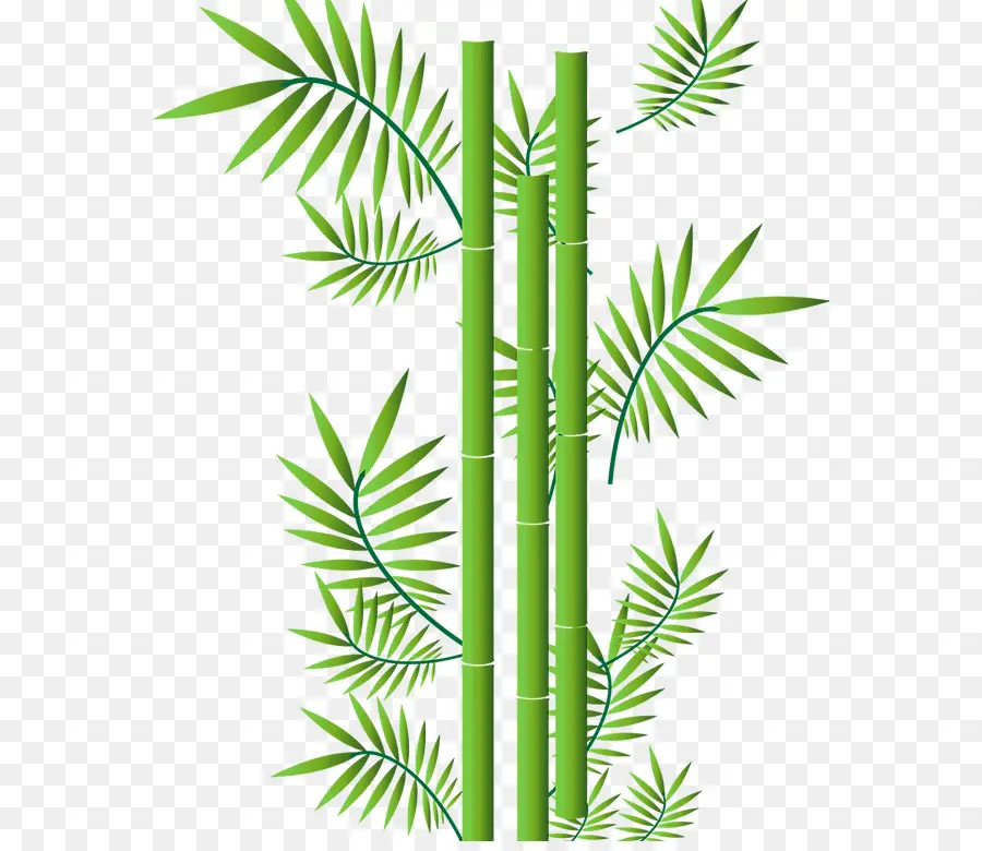 Yeşil Bambu，Bambu PNG