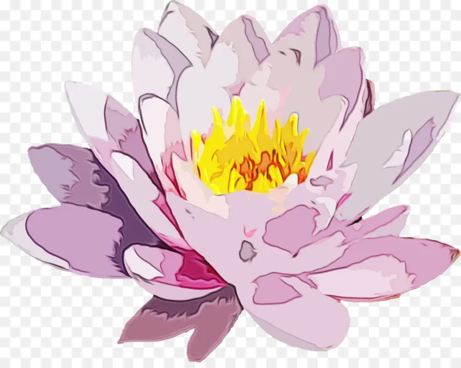 Lotus，Pembe PNG