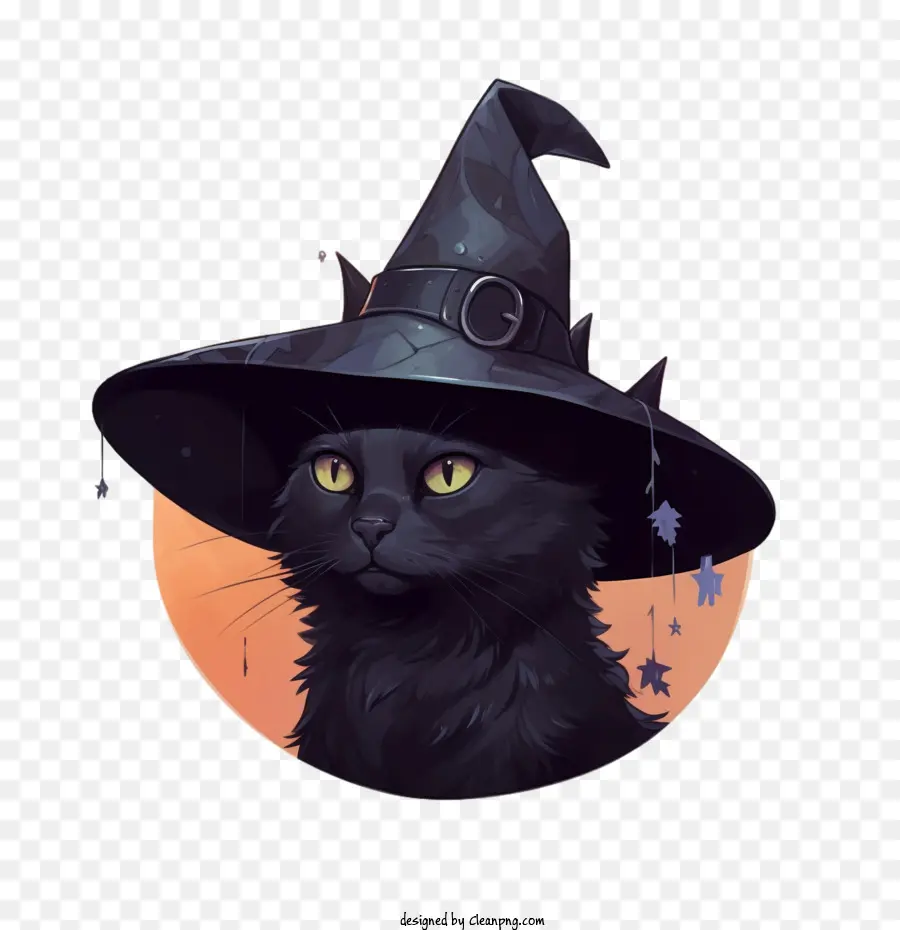 Cadılar Bayramı，Kara Kedi PNG