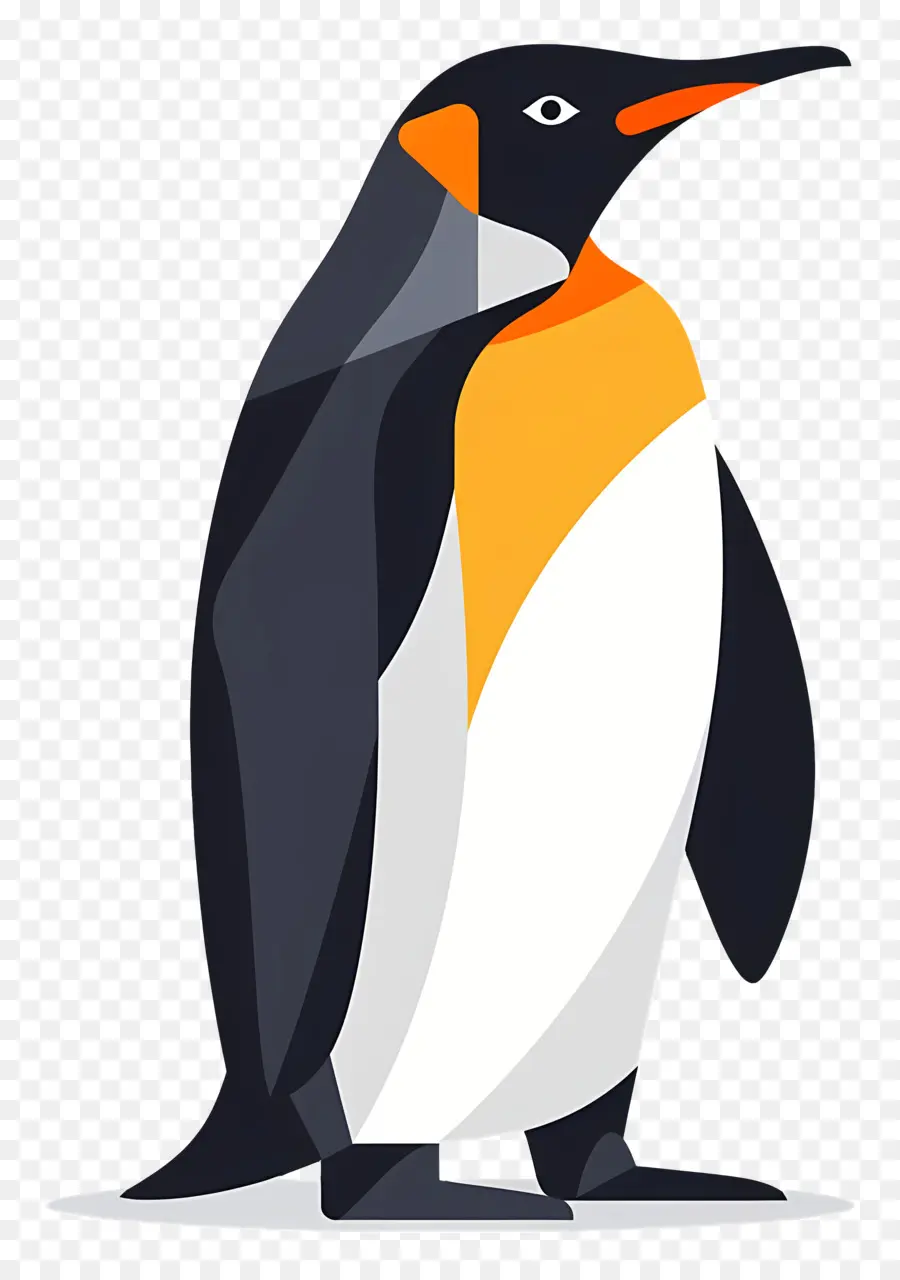 Penguen，Kuş PNG