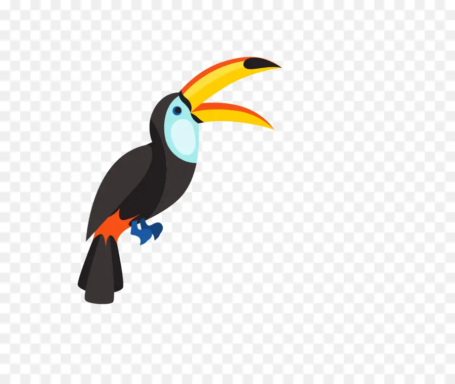 Toucan，สัตว์ PNG