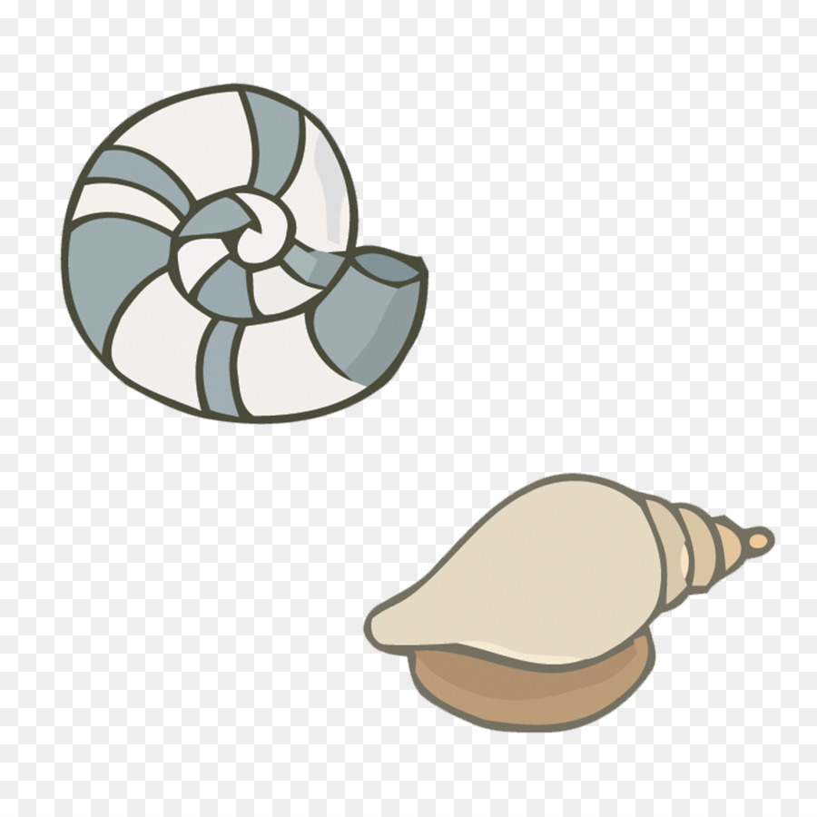 ถ้วย，Orthogastropoda PNG