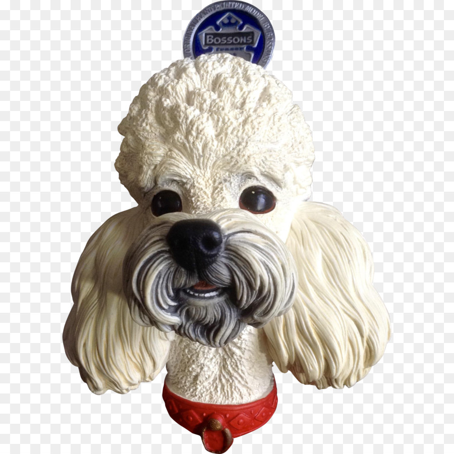 หมาพูเดิ้ล，Schnoodle PNG