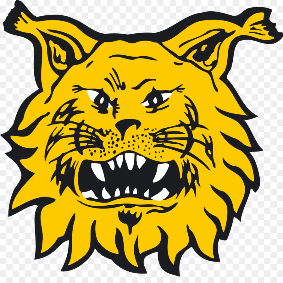 เอฟซี Ilves，Ilves PNG