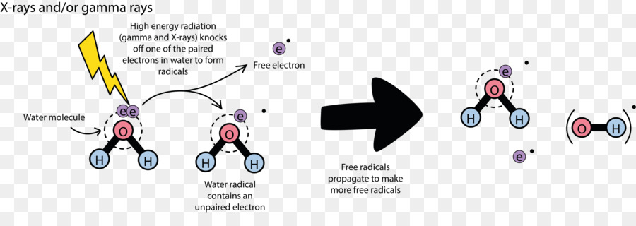 การฉายรังสี，โมเลกุล PNG