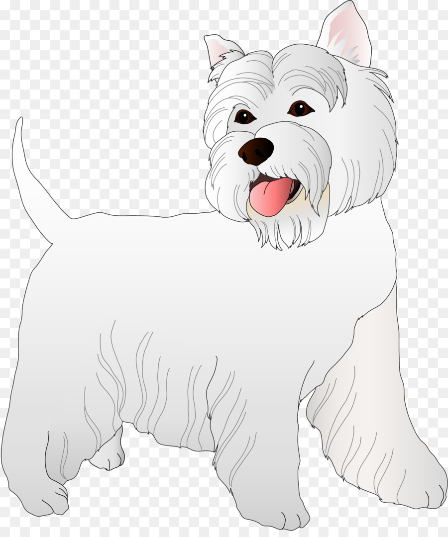 West Highland White Terrier，สุนัขสหาย PNG