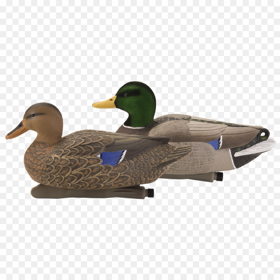 Duck Decoy，นก PNG