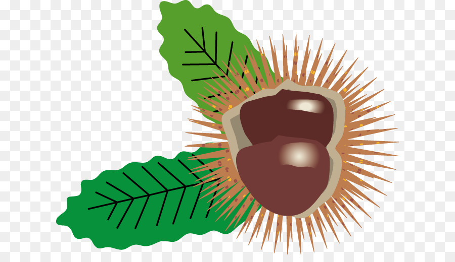 Castanea Crenata，บล็อกของ PNG