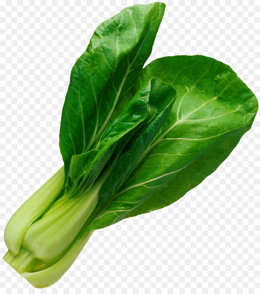 Bok Choy，สีเขียว PNG