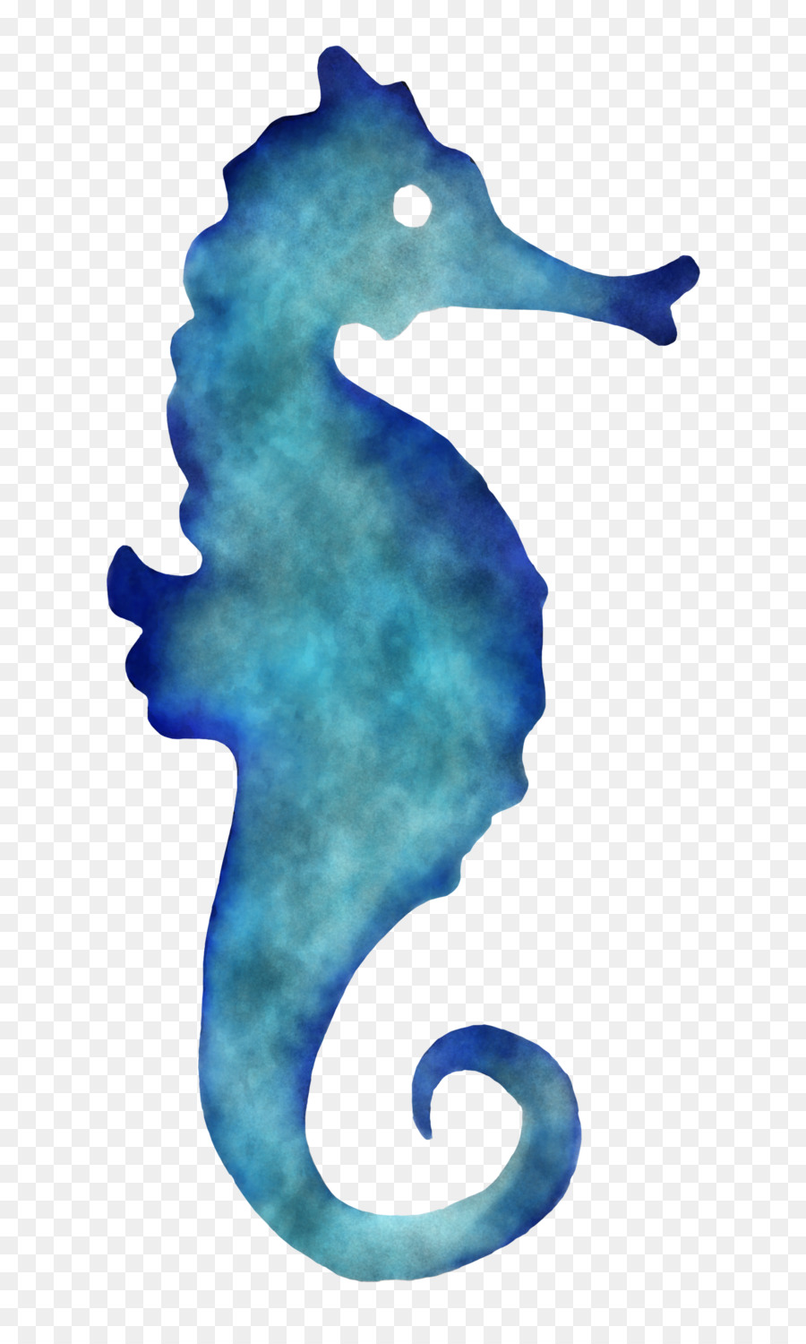 ซี，เหนือ Seahorse PNG