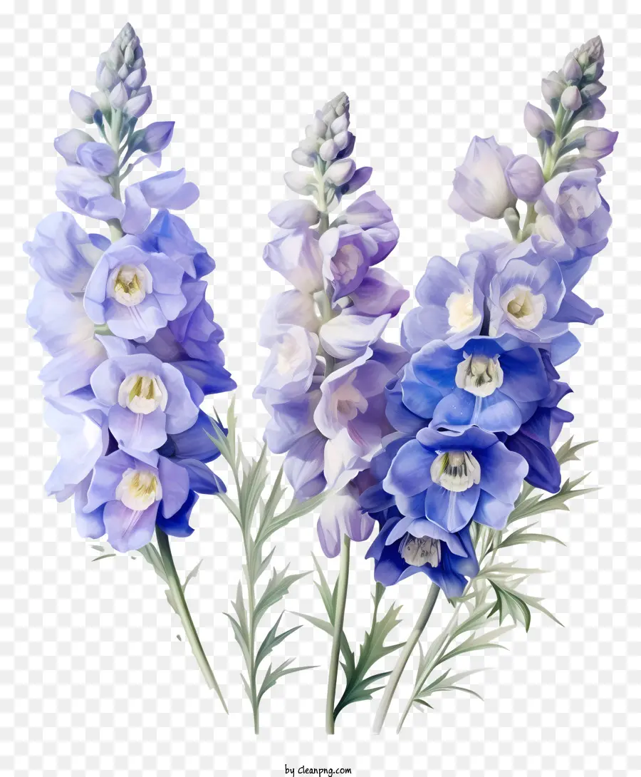 Delphinium Flower Bunch，ดอกไม้สีฟ้าและสีม่วง PNG