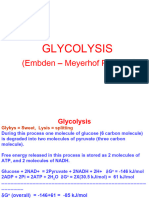 Glycolysis