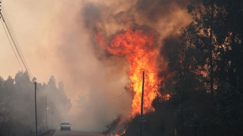 Las llamas junto a la carretera nacional EN-16 entre Freixiosa y Mangualde (región Centro de Portugal) - Foto: EFE