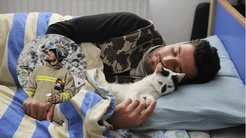 'Escombro', el gato "héroe" que fue salvado y adoptado por un rescatista en Turquía